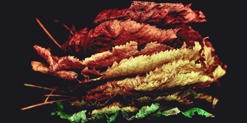 ESG因子整合型股票筛选器：如何将环境、社会与治理数据转化为超额收益的投资策略