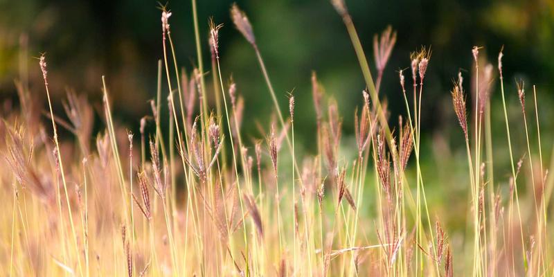 动量投资策略实战：构建捕捉市场趋势的股票筛选器与交易信号系统
