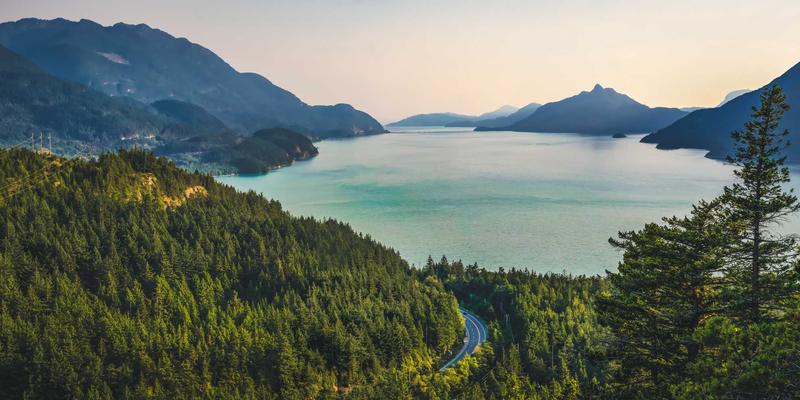 基本面量化选股器进阶指南：如何自定义财务比率与行业相对估值参数