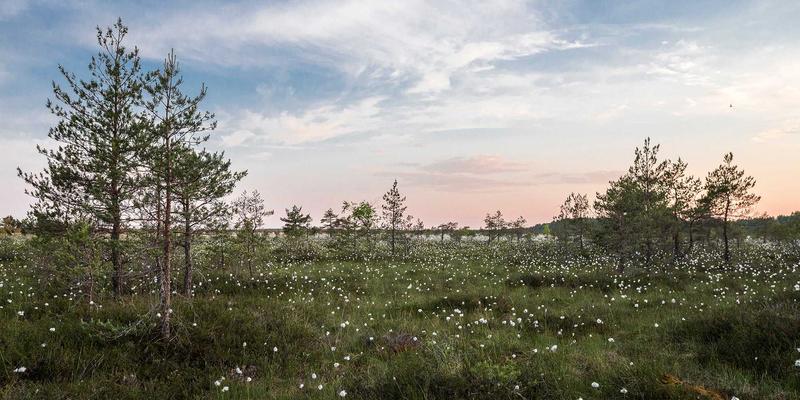 技术面与基本面共振：如何利用股票选择器构建高效多因子选股模型