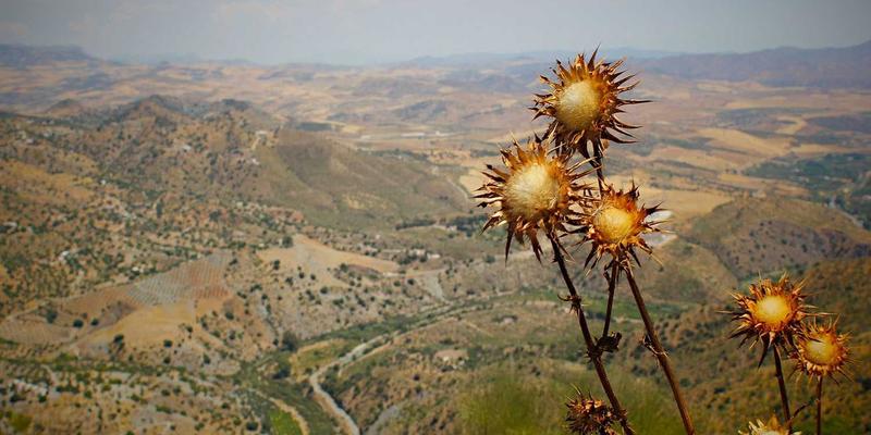 智能投资新纪元：如何利用机器学习算法构建高精度股票选择器
