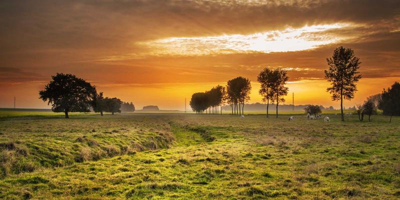 构建你的长线股票选择器：基于基本面分析的股票筛选与投资指南