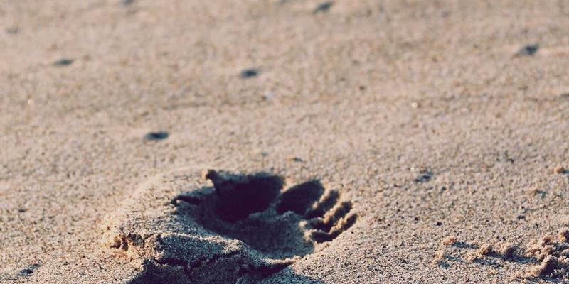 股票选择器19:智能时代的股票筛选与深度分析利器