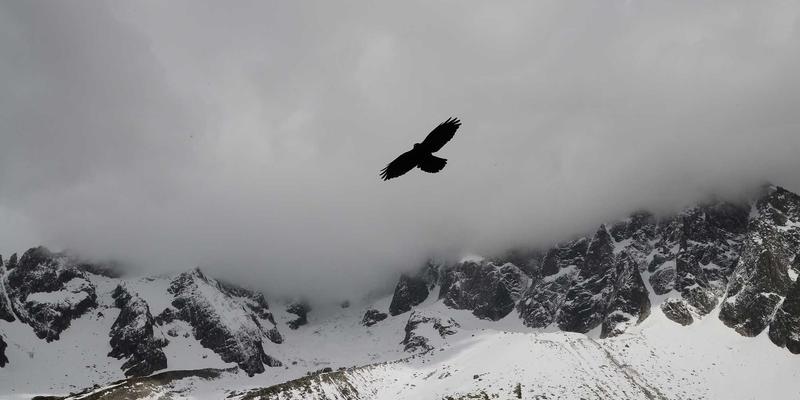 股票选择器31:智能选股工具如何重塑现代股票投资分析