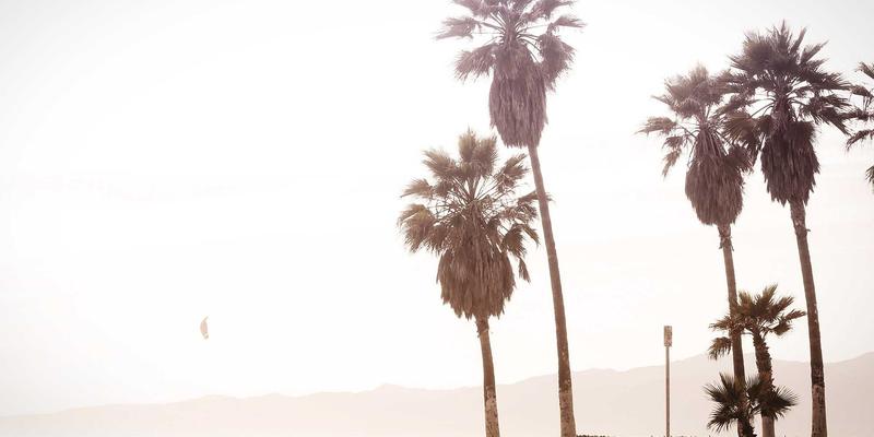 股票选择器81：智能投资时代的选股策略与工具实战指南