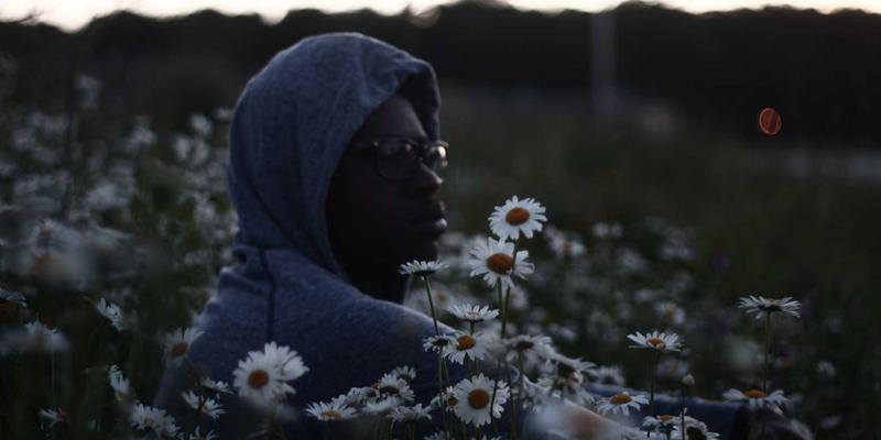 股票选择器全攻略:掌握股票筛选与选股工具,实现高效股票分析