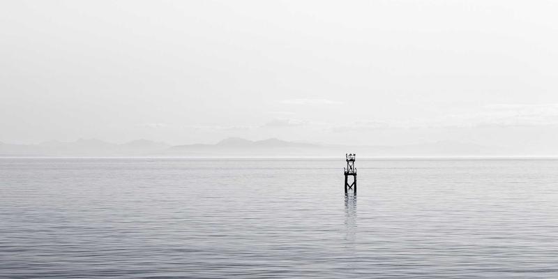 追踪聪明钱：如何利用资金流向与主力持仓变化构建高效股票筛选器